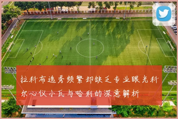 拉科布选秀频繁却缺乏专业眼光科尔心仪小瓦与哈利的深意解析