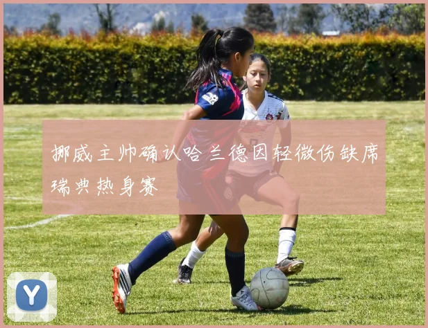 挪威主帅确认哈兰德因轻微伤缺席瑞典热身赛